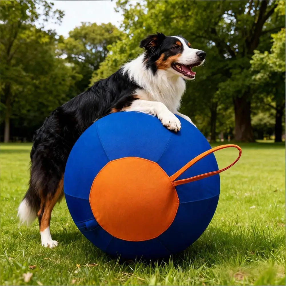 Herding Ball For Active Dogs